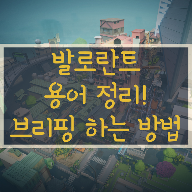  발로란트 용어, 맵 용어, 브리핑 하는 방법!