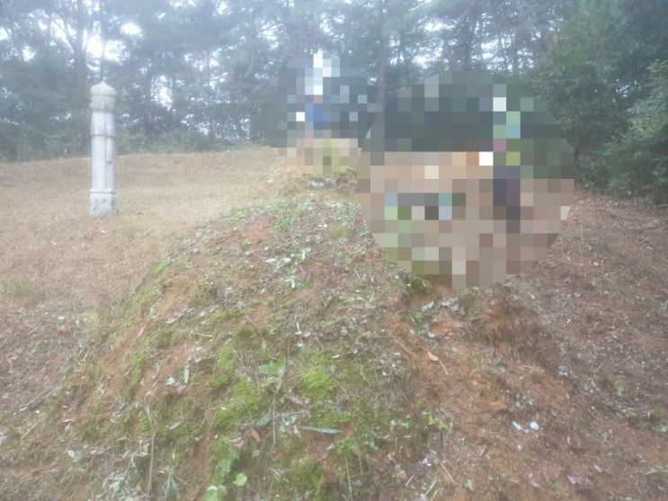  2022년 김천시 대신동산5 3상구 벌초 김천벌초 대신동벌초 벌초대행 추석벌초 김천고인돌장의사 #김천벌초 #선산벌초 #구미벌초 #황간벌초 #영동벌초 #성주벌초 #거창벌초