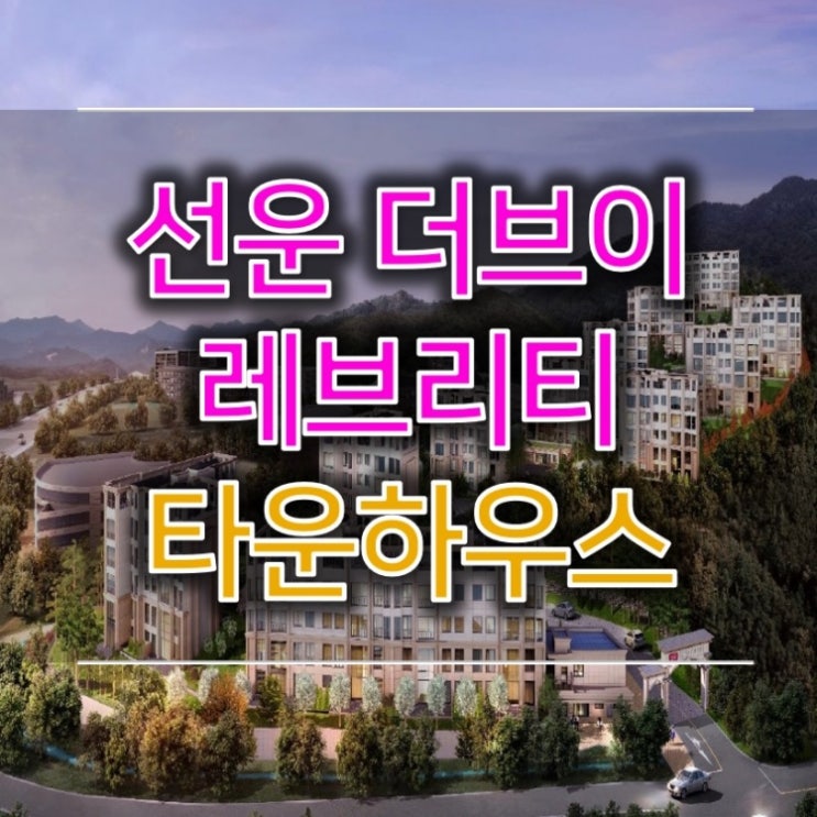 선운 더브이 레브리티 합리적인 타운하우스 선택