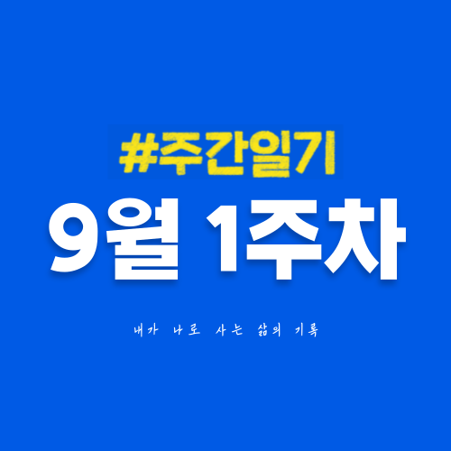 9월 1주차 | 아직까지는 잘 살고 있습니다 | 수익화에 집중하는 9월을 보낼 예정