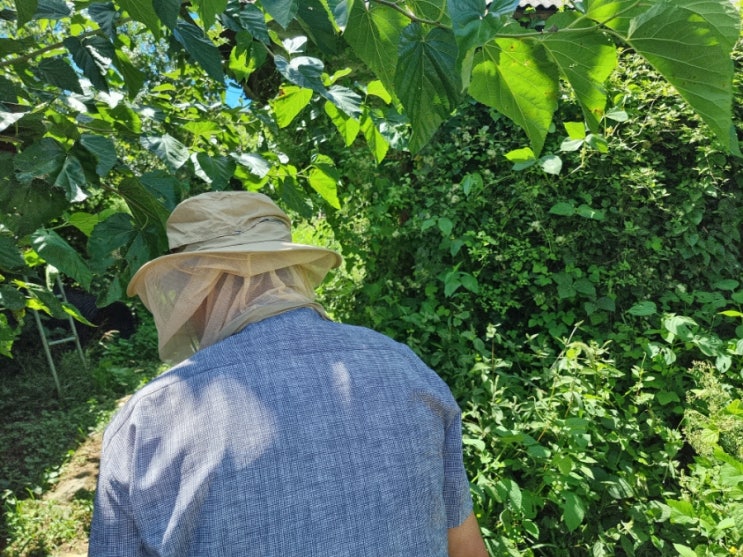 고브 양봉 낚시모자 벌초모자 농사일할 때 날파리 피하기