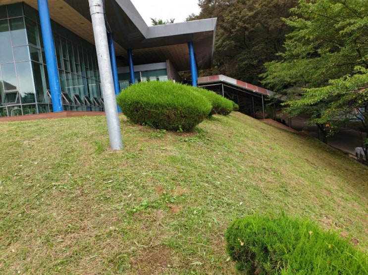  2022년 김천시 부곡동 김천고등학교 2차 학교벌초 잔디관리 고인돌장묘개발 #벌초대행 #벌초 #잔디관리 #김천학교벌초 #김천벌초 #구미벌초 #상주벌초 #영동벌초 #성주벌초