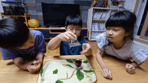  [엄마표 과학] 물과 주스가 멈췄어요..액체탑 쌓기
