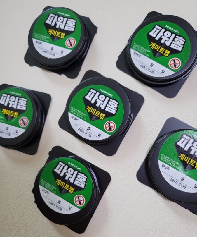 집개미 퇴치 다이소 개미 트랩
