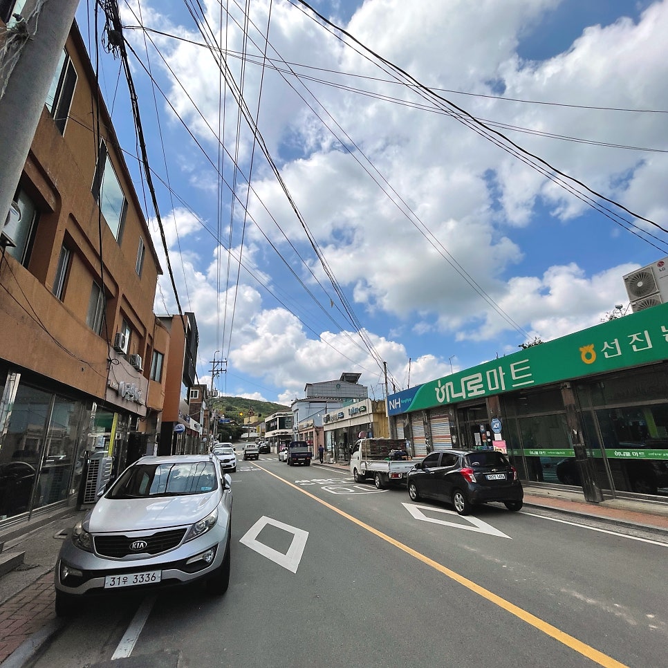 곰탱이네 사진 2