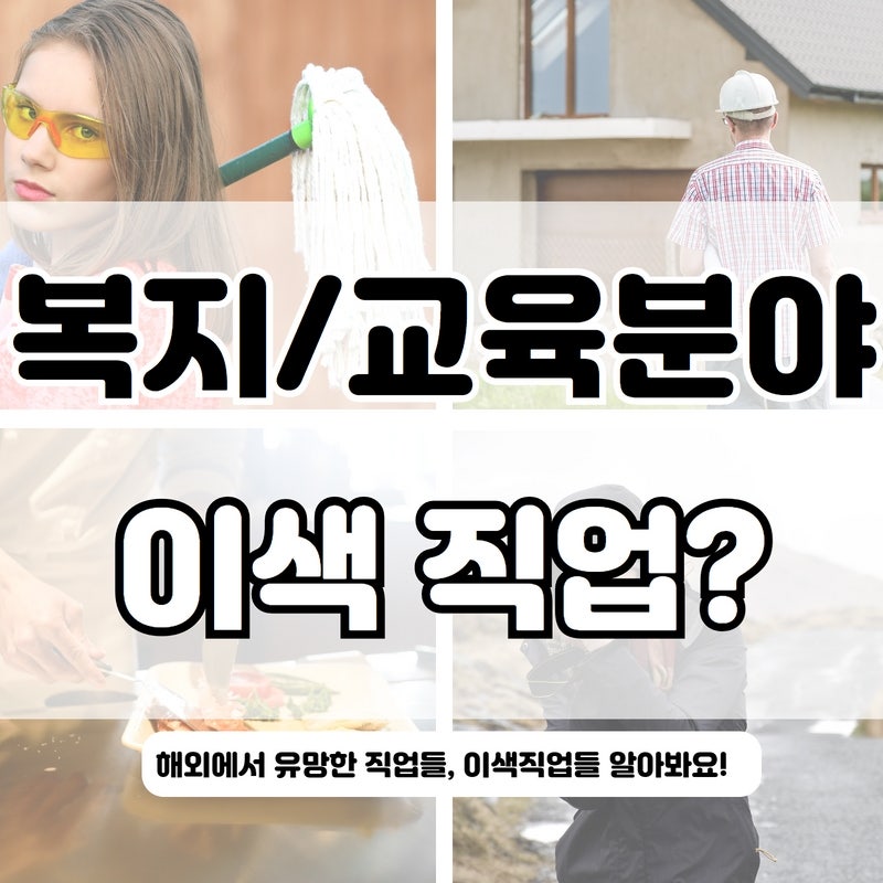 [사회복지/교육분야] 이색직업 TOP3