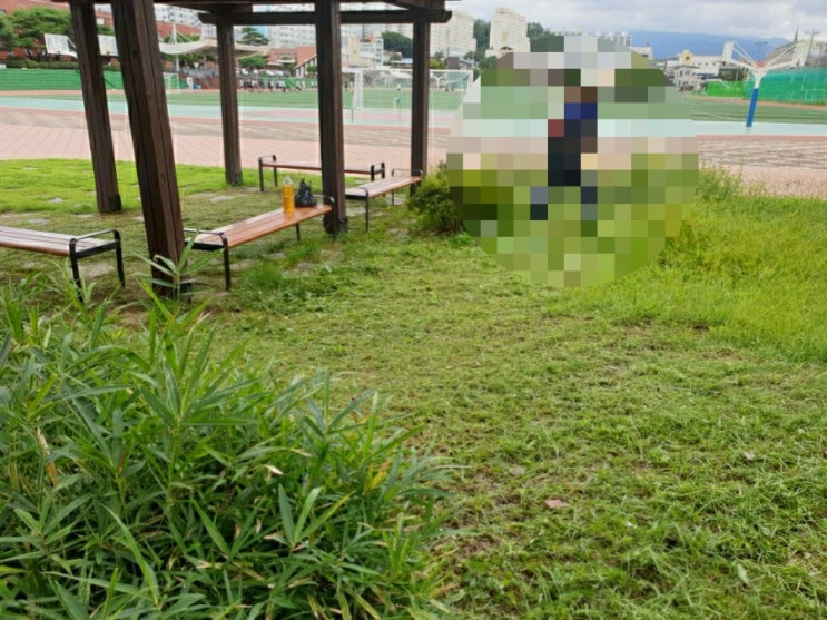  2022년 김천시 김천고등학교 2차 학교벌초 잔디관리 김천고인돌장의사 #벌초대행 #벌초 #추석벌초 #김천벌초 #선산벌초 #구미벌초 #상주벌초 #잔디관리 #학교벌초 #학교잔디