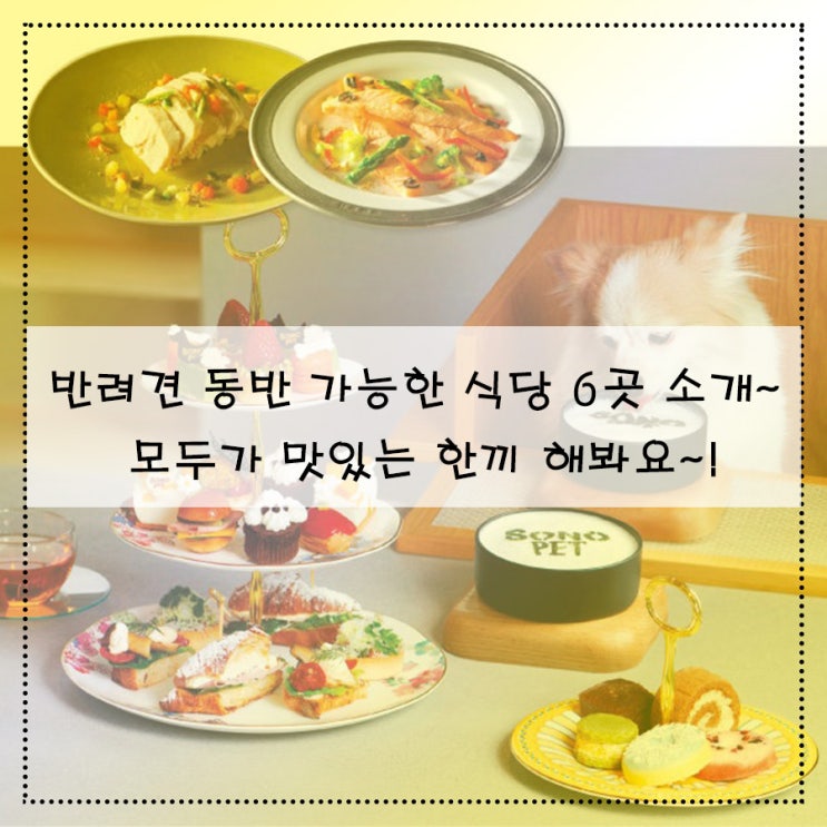 반려견 동반 가능한 식당 6곳 소개~ 모두가 맛있는 한끼 해봐요~!