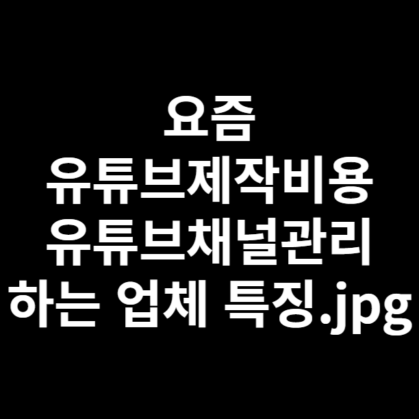  최근 유튜브제작비용 유튜브채널관리 하는 업체 특징