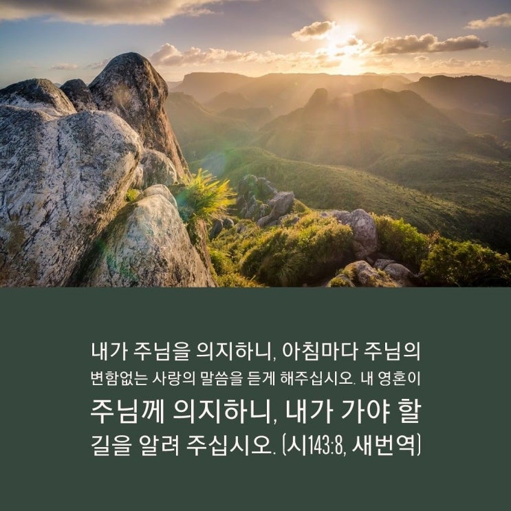  여호와의 주의 이름을 위하여(시143:1-12)