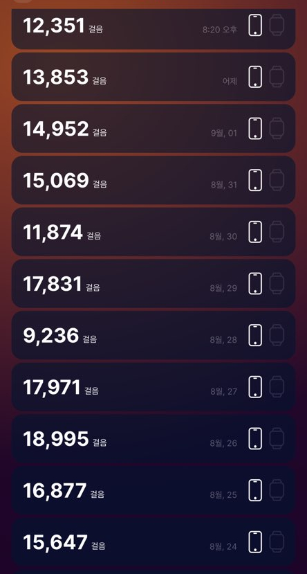  꾸준히 걷기