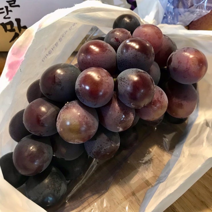 입장거봉포도휴게소 2022입장거봉포도홍보판촉전 거봉 2kg 20,000원 구입