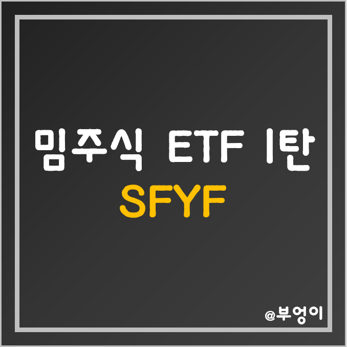미국 밈주식 ETF 1탄 - SFYF (Meme의 뜻과 관련주)