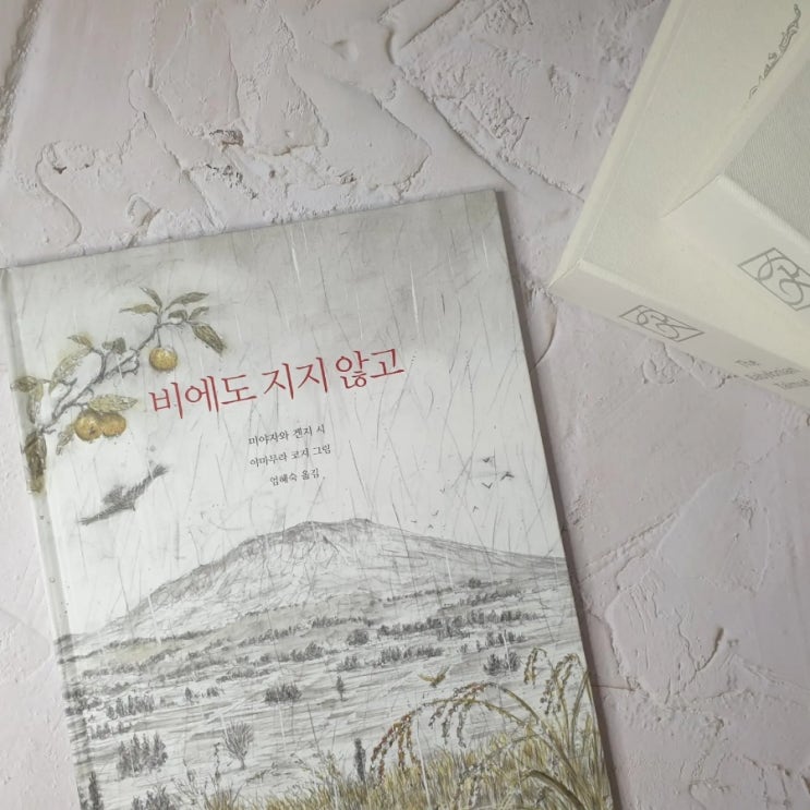  비에도 지지 않고