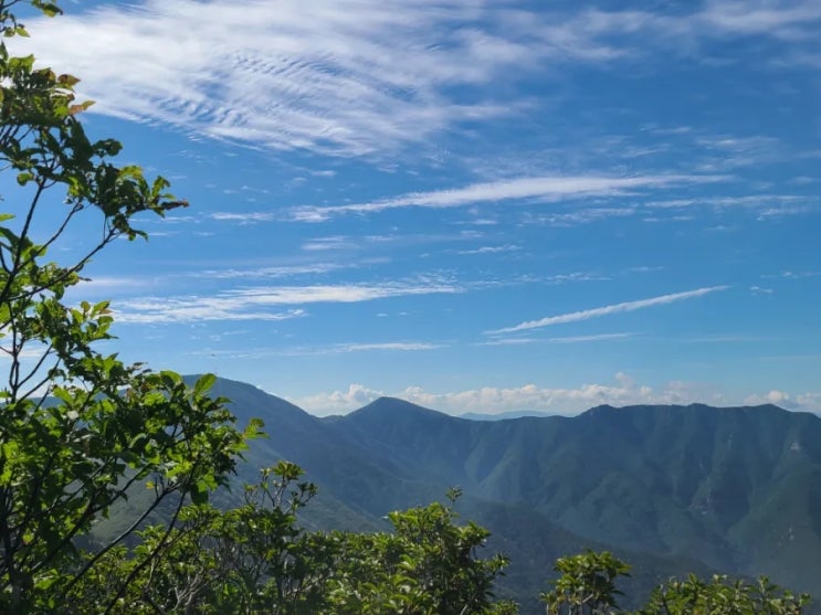100대 명산-99, 두타산 등산코스(댓재~통골재~두타산~대궐터 삼거리~무릉계곡)