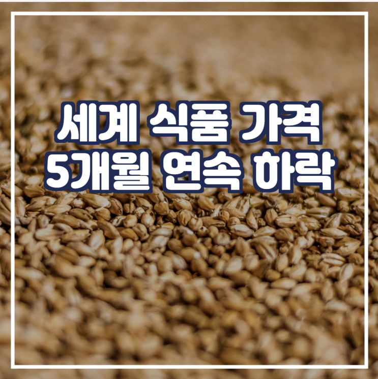  세계 식품 가격 5개월 연속 하락