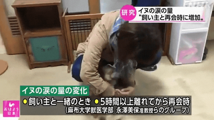  日本語が分かる方は[NEWS WEB EASY やさしい日本語で書いたニュース] これ絶大役に立ちますよ ！！！