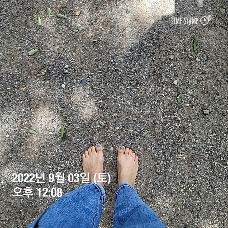  불면증과 두통 날려버리기 위해 맨발걷기(하남미사 뚝방길), 커피대신 결명자차,녹차 마시기 ,자기 전 족욕