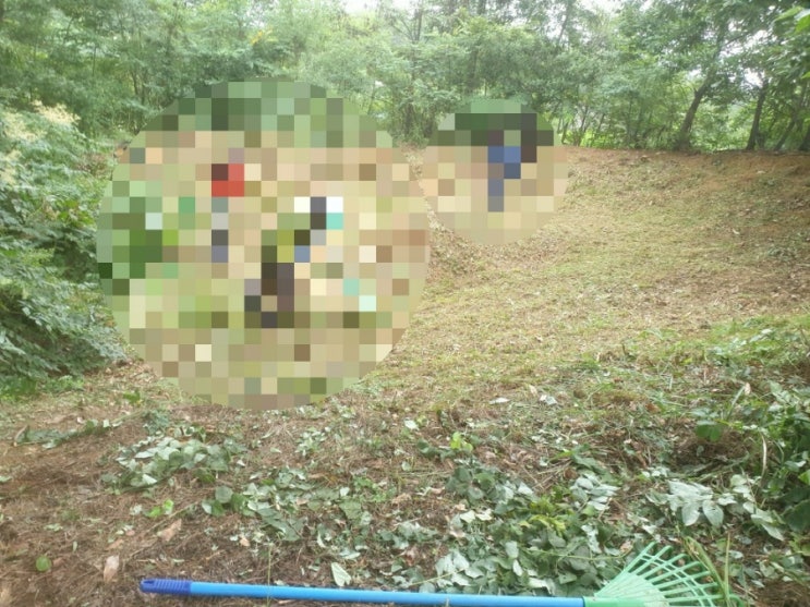  2022년 김천시 감문면 은림리산4번지 5상구 벌초 김천벌초 감문벌초 벌초대행 추석벌초 고인돌장묘개발 #김천벌초 #선산벌초 #구미벌초 #상주벌초 #문경벌초#벌초대행 #벌초