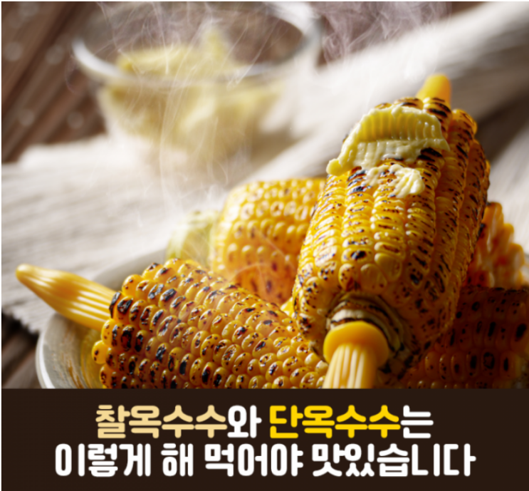  찰옥수수 맛있게 찌는 법 (옥수수 효능)