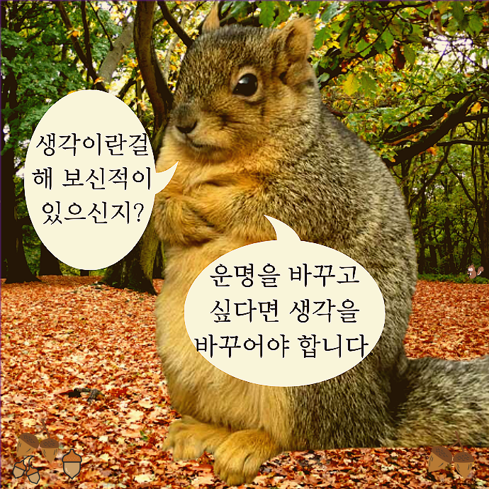  유명한 시, 좋은 외국시 추천 : 에드먼드 스펜서 " 그의 사랑에게 " ,오늘의 유명한 짧은 인생명언.감동명언, 좋은 짧은 행복 감성 글귀,웃긴짤,동물 말풍선짤,말풍선 짤,동물밈