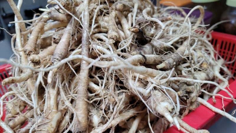 사포닌효능, 사포닌이 풍부한 음식, 검정도라지시럽