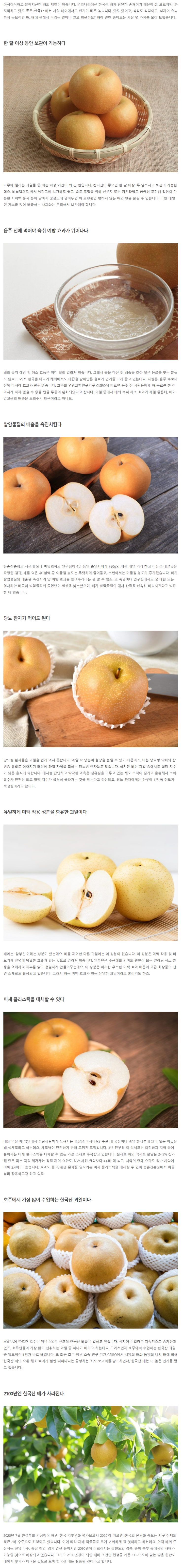  당뇨 환자 추천 제철과일 '배'