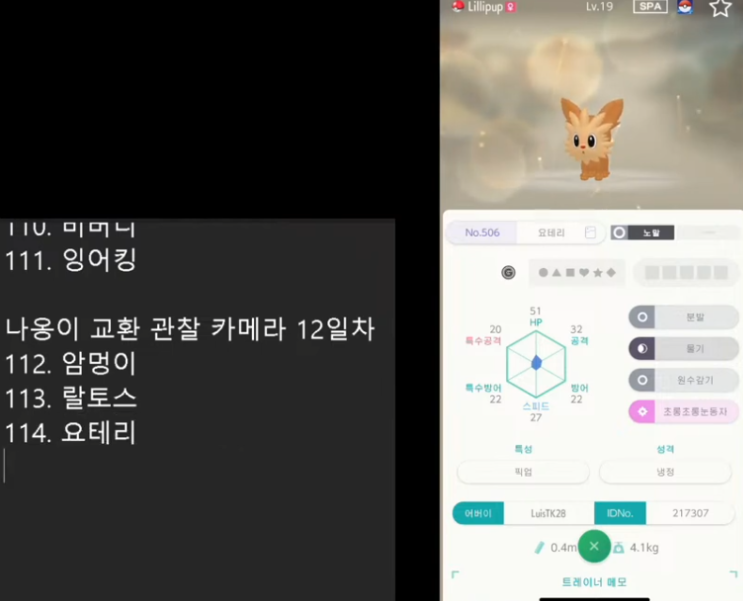  특별한 나옹이를 15일 동안 랜덤교환하면 생기는 일 - 12일차