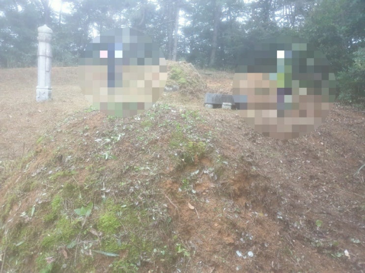  2022년 김천시 대신동산5 3상구 벌초 김천벌초 대신동벌초 벌초대행 추석벌초 고인돌장묘개발 #김천벌초 #선산벌초 #구미벌초 #황간벌초 #영동벌초 #성주벌초 #거창벌초