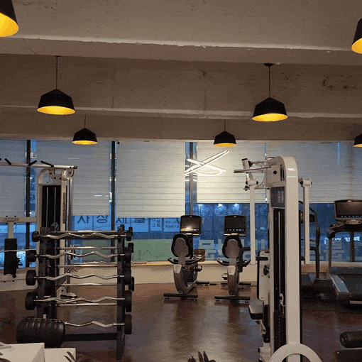  의지뿜뿜 PT 헬스!!! 사직동 헬스장 피티샵 피티시즌