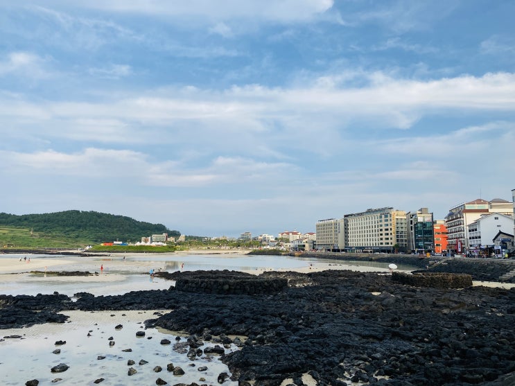 제주여행 전날~첫째날 / 탄천휴게소, 제주도착, 다가미, 벨리타캠핑장, 함덕해수욕장, 흑본오겹, 카페바나나, 선물고팡