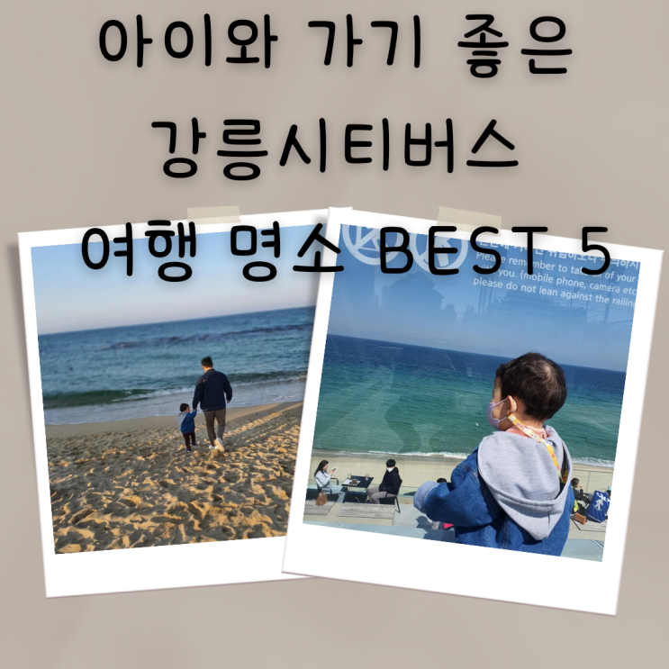  아이와 가기 좋은 강릉 시티버스 여행 명소 BEST 5, 시티버스 노선, 운행시간, 유의사항