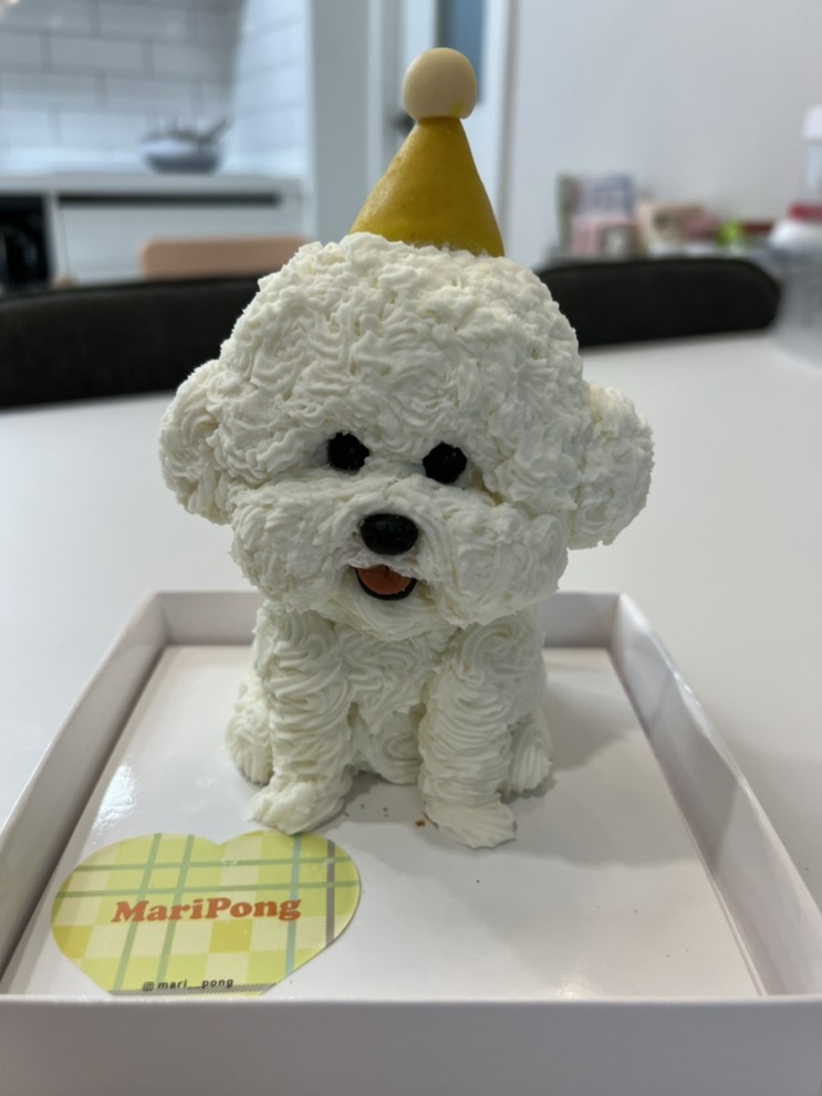 울산 강아지 케이크| 째모모 의 5번째 생일을 위해 특별히 주문한 '마리퐁'