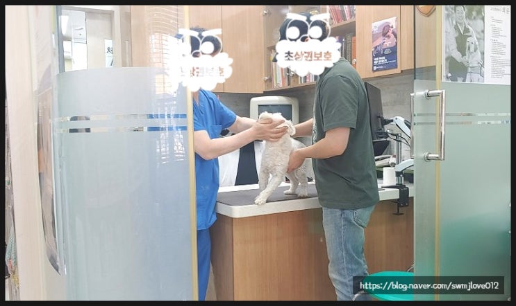  220903 사이토포인트