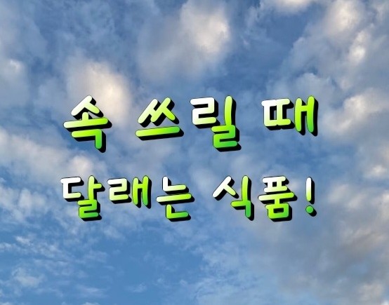 속 쓰릴 때 먹으면 좋은 식품!