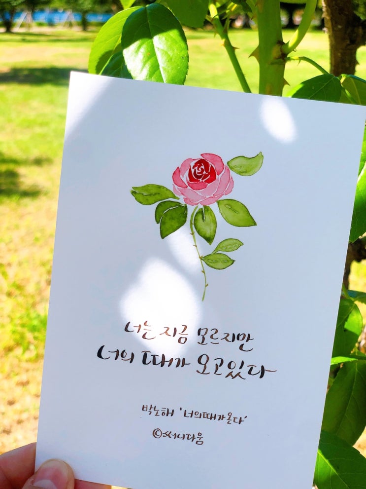  [캘리그라피] 박노해, 너의 때가 온다. (시집 너의 하늘을 보아 中)