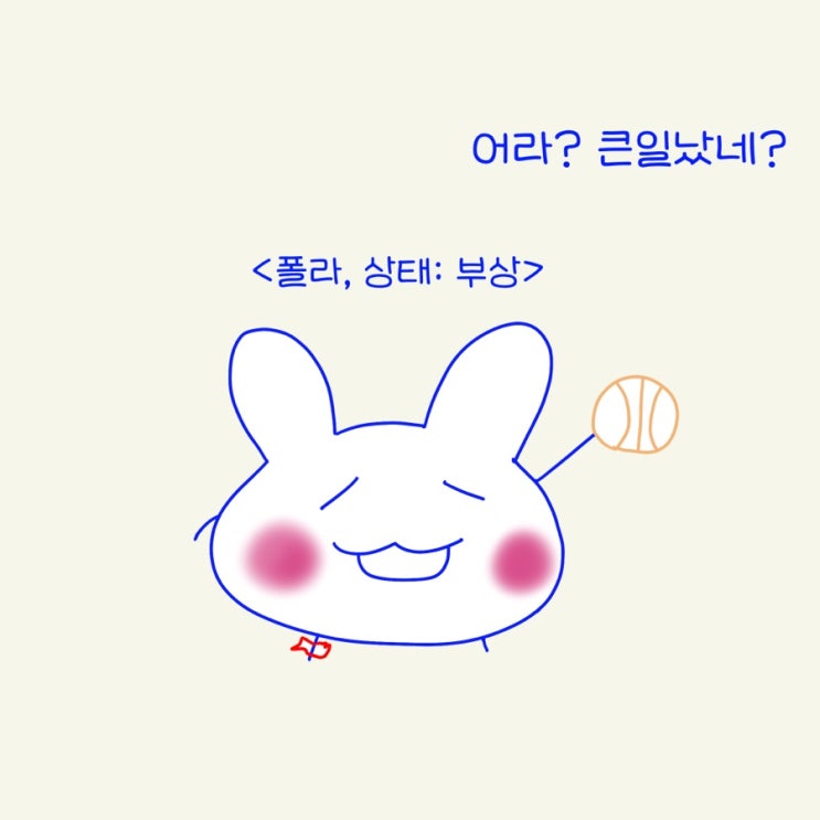  운동중에 부상당했다면? (폴라가 부상을..?)