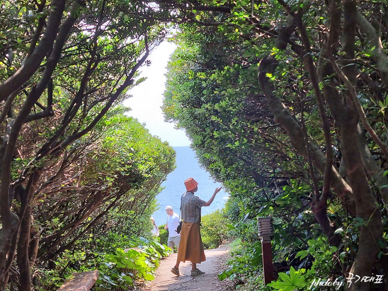 제주도 갈만한곳 제주 여행 남원 큰엉해안경승지 한반도 포토존