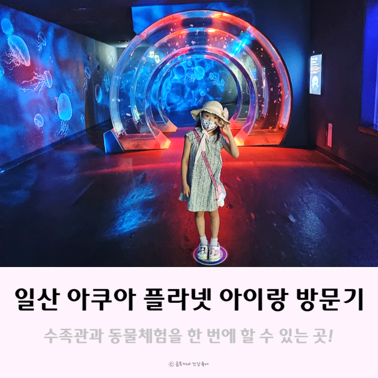 일산 아쿠아플라넷에서 동물농장, 수족관 관람 후기 일산 아쿠아플라넷에서 동물농장, 수족관 관람 후기