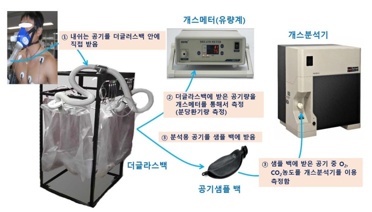  최대산소섭취량(VO2max)의 측정절차와 측정원리