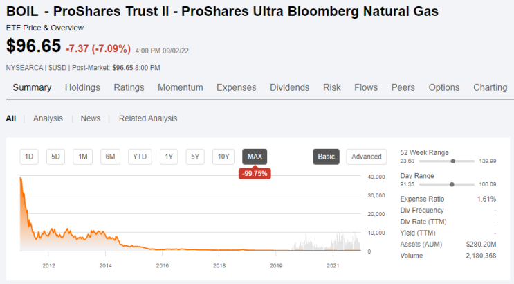 [주식] BOIL, 천연가스 2배 레버리지 투자하는 ETF (Ft. GNR ETF와 비교 및 BOIL 주가 전망)