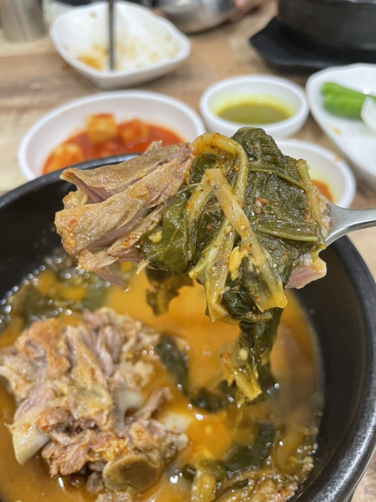  조치원 뼈해장국 쯔양 픽 세종감자탕 주은감자탕 점심 저녁 추천