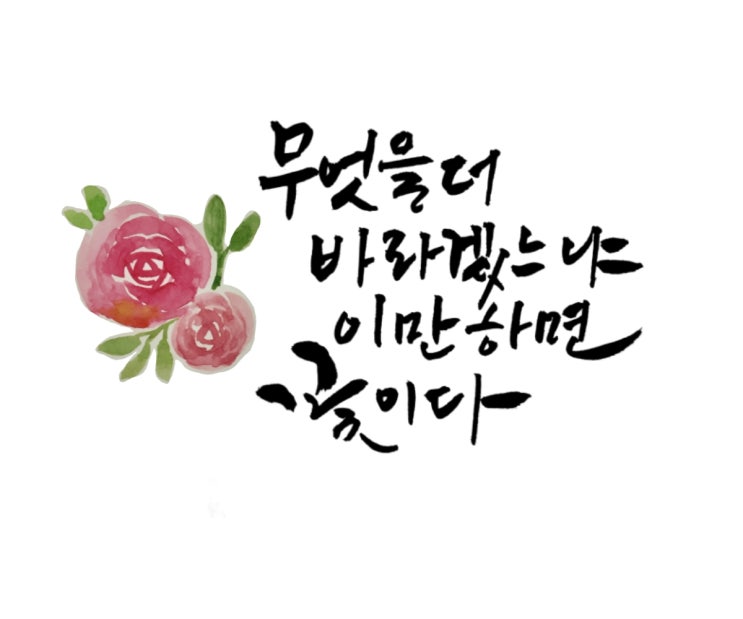  (도드캘리)이만하면 꽃이다
