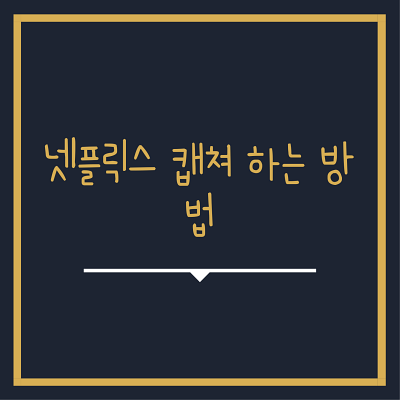  넷플릭스 캡쳐 및 검은화면 해결 방법