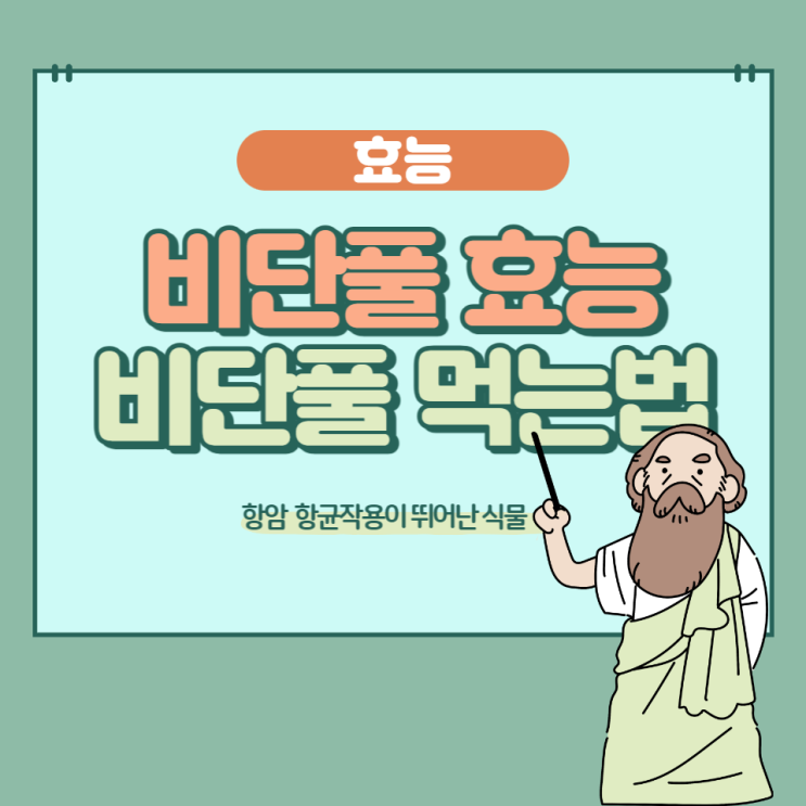 비단풀 효능 부작용 없이 비단풀 발효액 먹는방법 비단풀 효능 부작용 없이 비단풀 발효액 먹는방법
