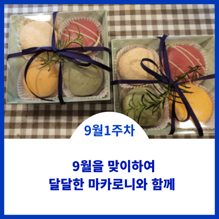  9월을 맞이하며 달달한 마카로니와 함께