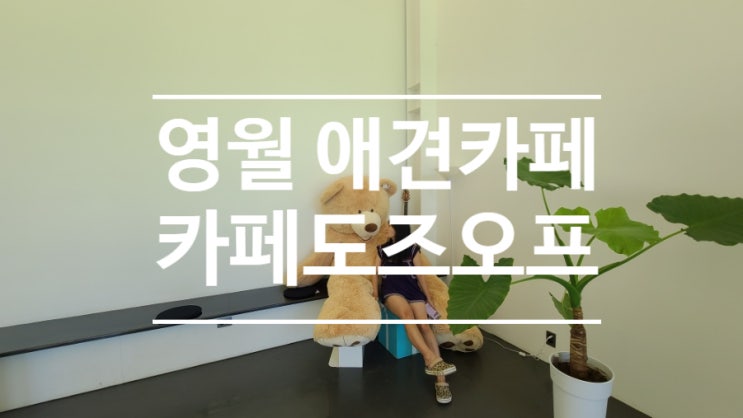  영월 애견동반카페 추천~~ 카페도즈오프!! 넓은 잔디밭에서 댕댕이와 함께 춤을~