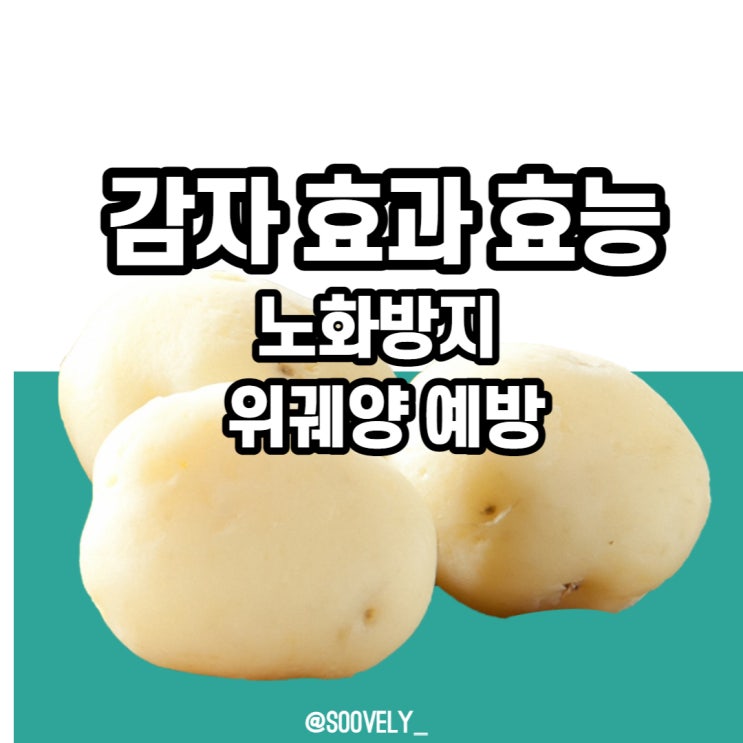  감자효능8가지 감자위궤양 감자효과 감자노화방지