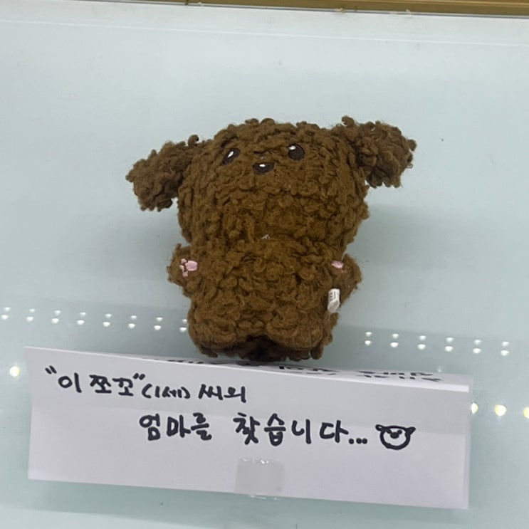  부산 여행 3일차(서면 밀면 맛집, 꼼장어 맛집 추천)