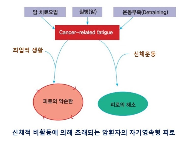  암환자를 위한 운동처방, 암관련피로(CRF: cancer-related fatigue)